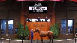 【セレクトセール2021】Justify産駒が2億円で落札