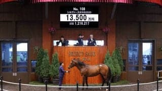 【セレクトセール2021】シルヴァースカヤの2020が1億3500万円