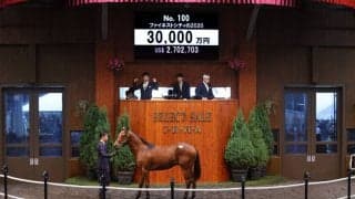 【セレクトセール2021】ファイネストシティの2020 藤田晋氏が3億円で落札