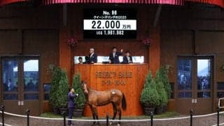 【セレクトセール2021】クイーンズリングの2020が2億円超え