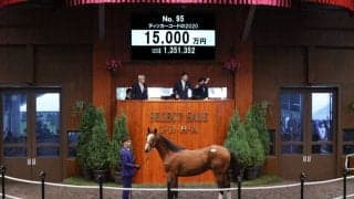 【セレクトセール2021】ティッカーコードの2020が1億5000万円