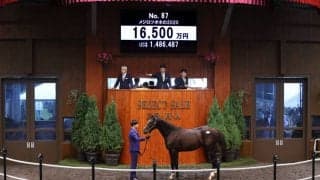 【セレクトセール2021】グローリーヴェイズ半弟が1億6500万円