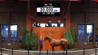 【セレクトセール2021】Justify産駒のジペッサの2020が2億円で落札