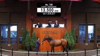 【セレクトセール2021】ハーツクライ産駒、シルヴァースカヤの2020が1億3500万円で落札