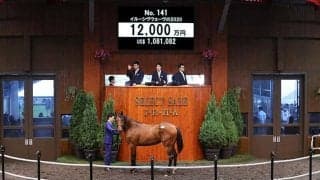 【セレクトセール2021】アドマイヤビルゴの半弟が1億2000万円で落札！ 落札者はサイバー藤田晋氏