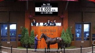 【セレクトセール2021】ハーツクライ産駒が1億6000万円で落札