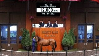 【セレクトセール2021】6億円ホースの半弟を藤田晋氏が落札