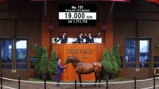 【セレクトセール2021】Saxon Warrior産駒が1億9000万円で落札