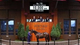 【セレクトセール2021】キズナ産駒が1億円で落札　プレシャライジングの2020、伯母に米年度代表馬