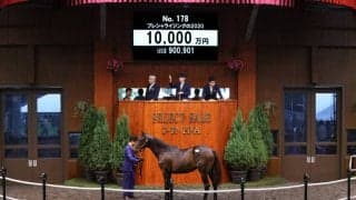 【セレクトセール2021】キズナ産駒が1億円で落札