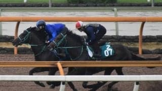 ベルラップ全弟グーデンドラークが松山弘平騎手でデビュー/関西馬メイクデビュー情報