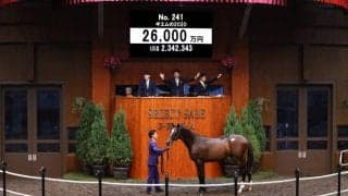 【セレクトセール2021】シルバーステート産駒が2億6000万円で落札