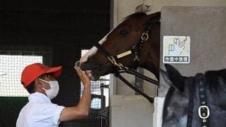 関わる人みんなが幸せになれる馬作り、人作り、厩舎作りを…四位調教師からのメッセージ