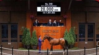 【セレクトセール2021】父母合わせて10冠！ ディープ最後の産駒は2億円で落札
