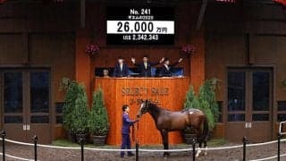 【セレクトセール2021】ショウナン国本氏、2億6000万円でシルバーステート産駒を落札