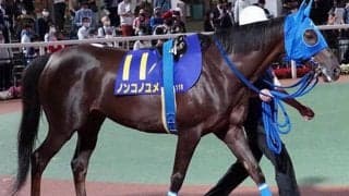 最大目標は東京大賞典！ 一線級を舞台にして輝き続ける9歳馬・ノンコノユメ