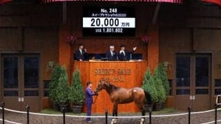【セレクトセール2021】最後のディープインパクト産駒は2億円