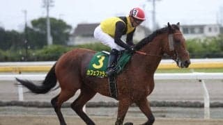 【函館記念想定騎手】カフェファラオはC.ルメール騎手、ウインイクシードは横山武史騎手