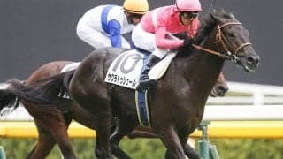 【函館記念予想】出走できれば昨年の再現となる極穴をAIは見逃さない ローカルの連闘で勝負気配/JRA重賞レース展望