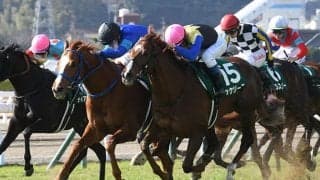 【中京記念想定騎手】ボッケリーニは浜中俊騎手、カテドラルは福永祐一騎手