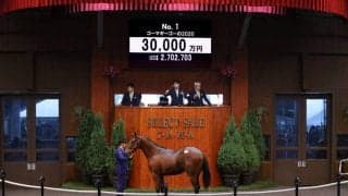 【セレクトセール2021】初日は史上最高116億円超え！コロナ禍でも衰え知らずの売れ行き