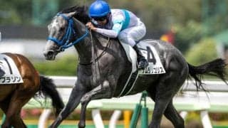 【函館2歳S展望】2歳世代最初のJRA重賞、注目はあの馬