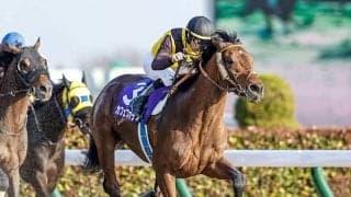 【函館記念ハンデ確定】カフェファラオはトップハンデ58.5kg、マイネルウィルトスは56.0kg