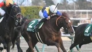 【中京記念ハンデ確定】ボッケリーニはトップハンデ57.0kg、ディアンドルは55.0kg