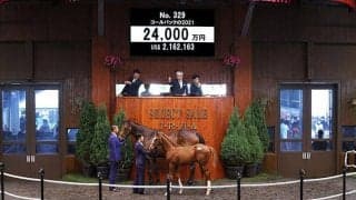 【セレクトセール2021】セール唯一のFrankel産駒は2億4000万円で落札！