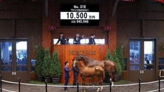 【セレクトセール2021】ドゥラメンテ産駒が1億500万円で落札　ヴァシリカの2021
