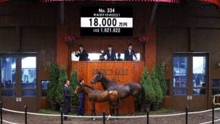 【セレクトセール2021】ブラックスピネル半弟が1億8000万円