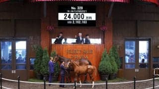 【セレクトセール2021】Frankel産駒が2億円超