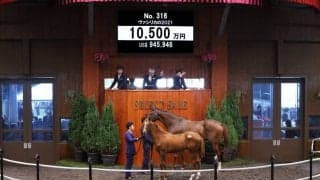 【セレクトセール2021】ドゥラメンテ産駒が1億円超