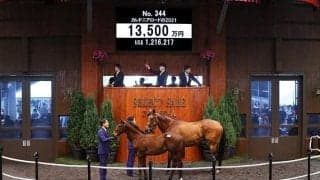【セレクトセール2021】Justify産駒が1億3500万円で落札　カレドニアロードの2021