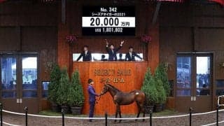 【セレクトセール2021】当歳セール唯一のハーツクライ産駒が2億円で落札