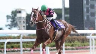 【門別競馬情報】オヤコダカ、スーパーステションに続く「2連覇」なるかクインズプルート。先行馬そろいスマートアヴァロンら差し馬勢の台頭注目「第18回星雲賞H3」/地方競馬情報