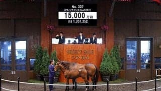 【セレクトセール2021】米3冠馬の産駒が1億5000万円で落札！ スウィッチインタイムの2021