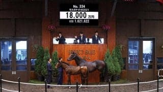 【セレクトセール2021】ブラックスピネル半弟が1億8000万円で落札！ 17年ダービー馬レイデオロの初年度産駒