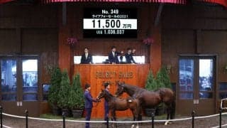 【セレクトセール2021】ダノンファンタジー半弟が1億1500万円