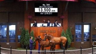 【セレクトセール2021】Justify産駒が1億超