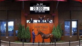 【セレクトセール2021】ハーツクライ産駒が2億円