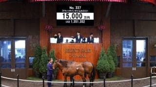 【セレクトセール2021】American Pharoah産駒が1億5000万円