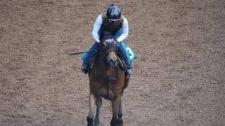 エーデルブルーメなど、先週のゲート試験/栗東トレセンニュース