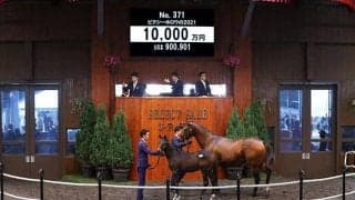 【セレクトセール2021】ピクシーナイトの半弟が1億円で落札　父は13年ダービー馬キズナ