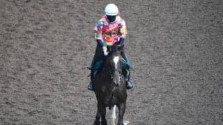 ライフフォーセールの2019など、先週の入厩情報/栗東トレセンニュース