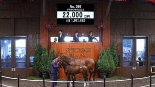 【セレクトセール2021】エピファネイア産駒が2億2000万円で落札　アルテリテの2021