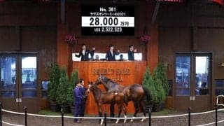 【セレクトセール2021】今春香港GIを制したラヴズオンリーユーの半弟に2億8000万円　父はハーツクライ