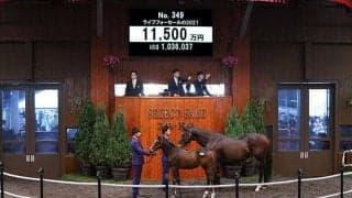 【セレクトセール2021】18年阪神JF馬ダノンファンタジーの半弟は1億1500万円で落札
