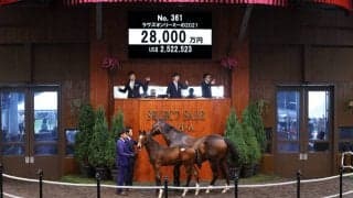 【セレクトセール2021】ラヴズオンリーユー半弟が2億8000万円