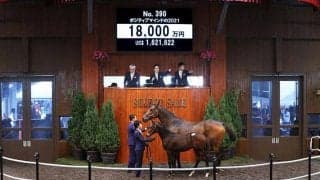 【セレクトセール2021】サイバー藤田氏、サトノダイヤモンド産駒を1億8000万円で落札